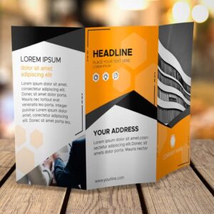 Trípticos Informativos